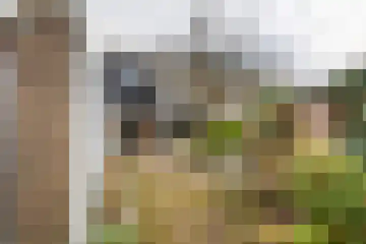 Burgemeester Cambier van Nootenlaan 12 Tiel thumbnail 7