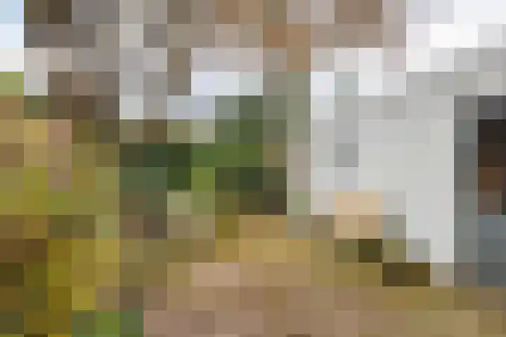 Burgemeester Cambier van Nootenlaan 12 Tiel thumbnail 9