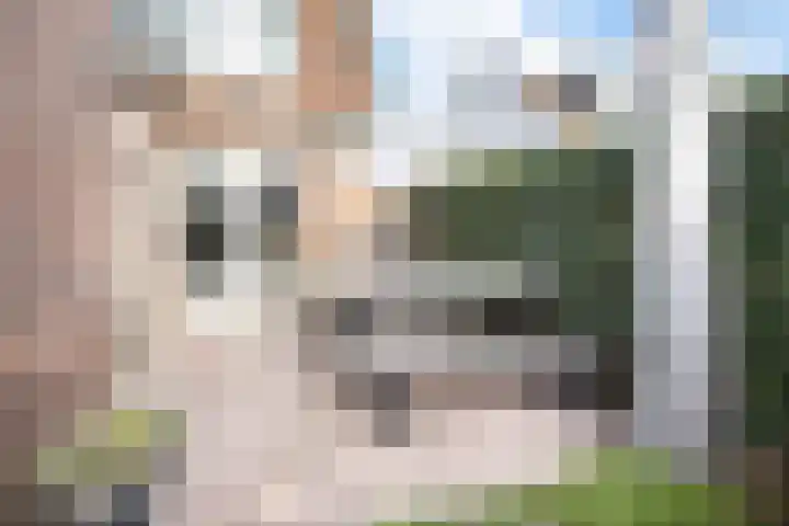 Burgemeester Cambier van Nootenstraat 17 Maarssen thumbnail 39