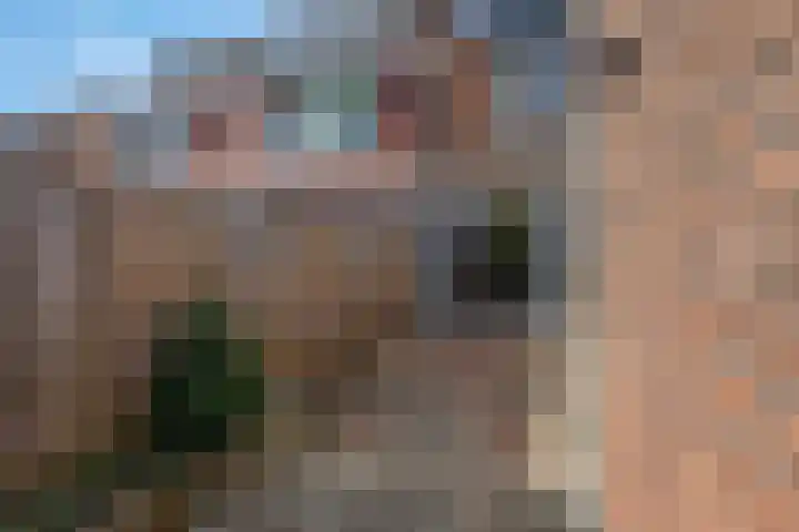 Burgemeester Cambier van Nootenstraat 23 Maarssen thumbnail 28