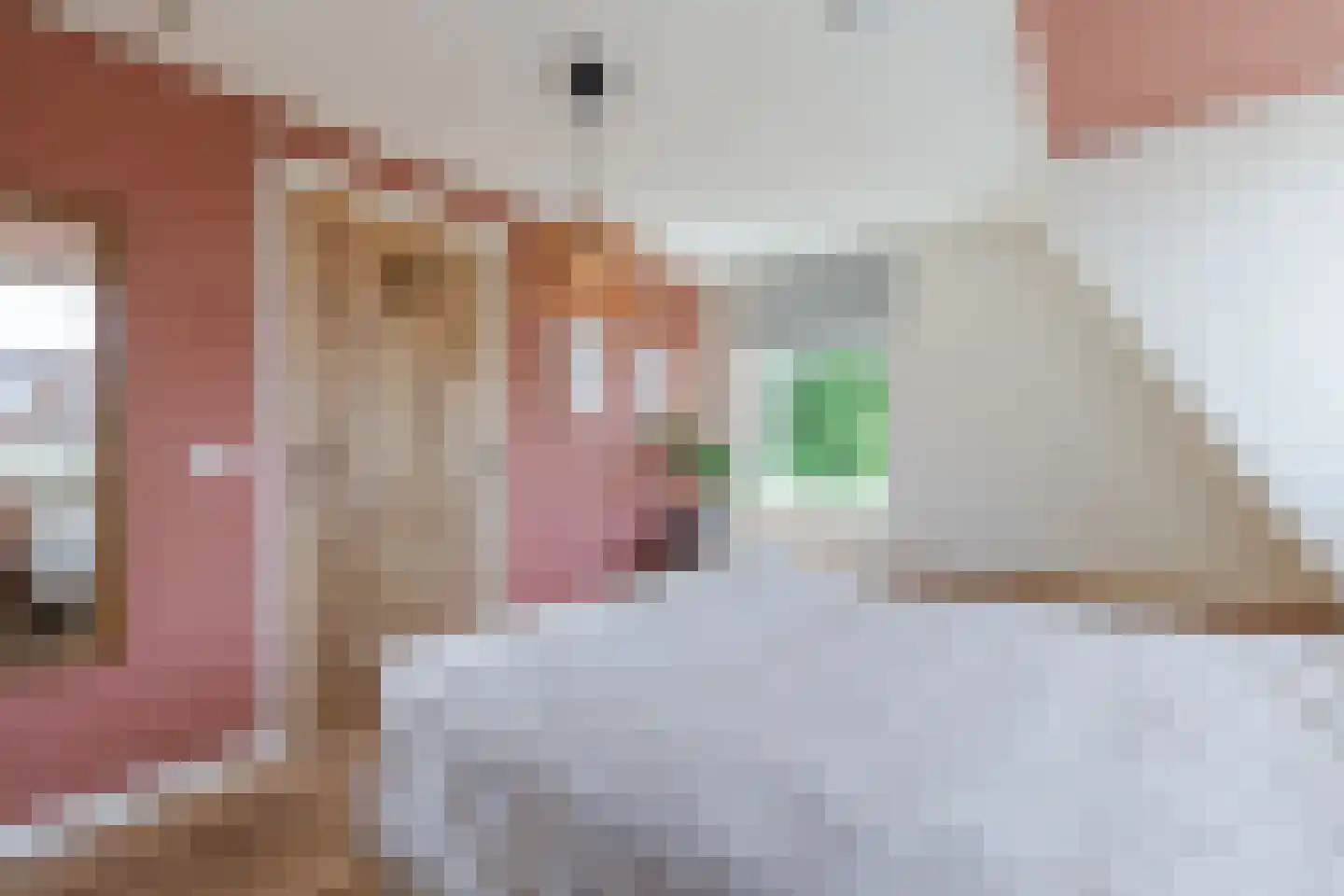 Burgemeester Cambier van Nootenstraat 4 Maarssen thumbnail 21