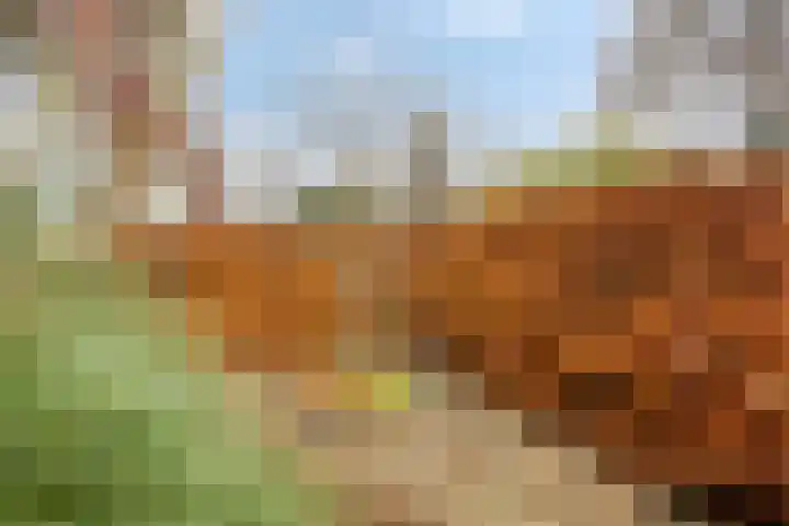 Burgemeester Cannegieterlaan 51 Voorschoten thumbnail 4