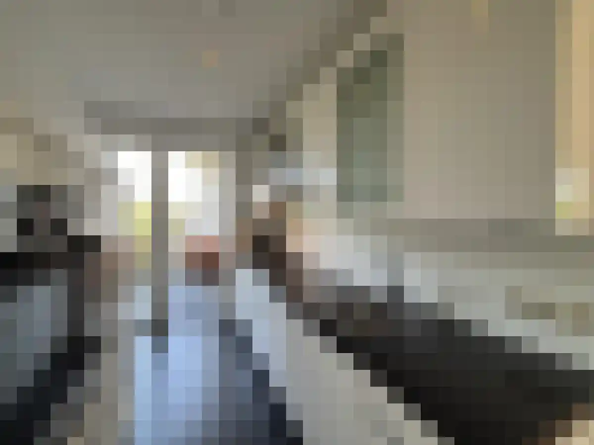 Burgemeester Ceulenstraat 79 Maastricht thumbnail 4