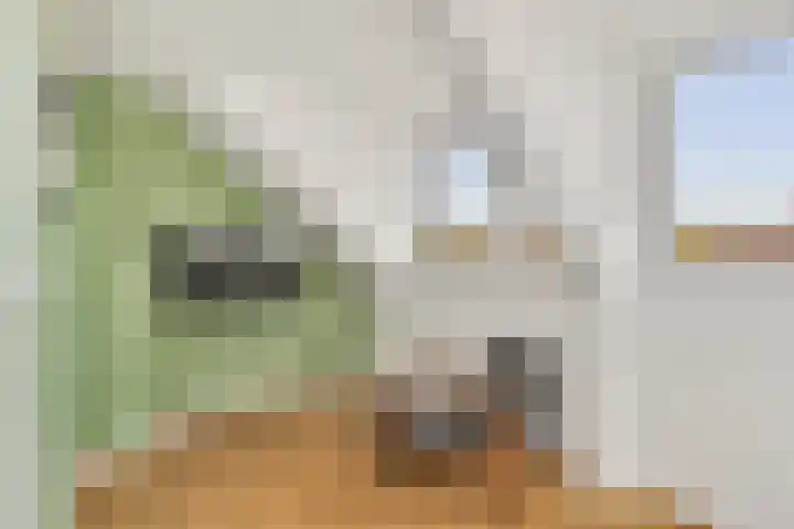Burgemeester Cochiuslaan 8 Rijswijk thumbnail 37