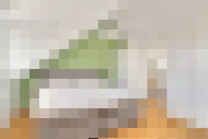 Burgemeester Cochiuslaan 8 Rijswijk thumbnail 38