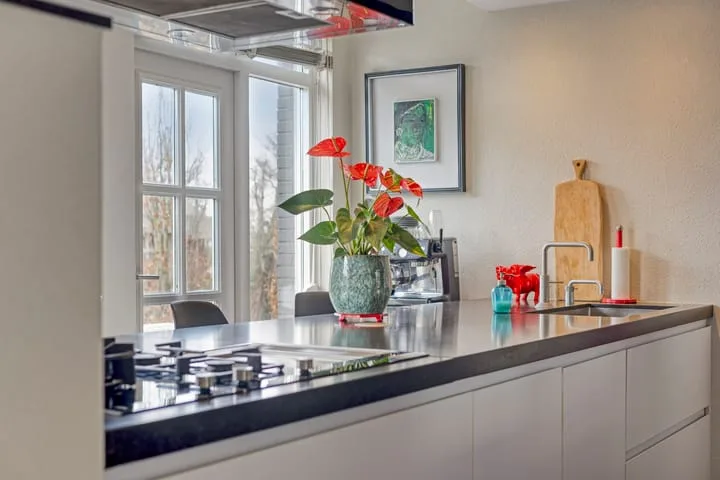 Burgemeester Colijnstraat 251 Boskoop thumbnail 40