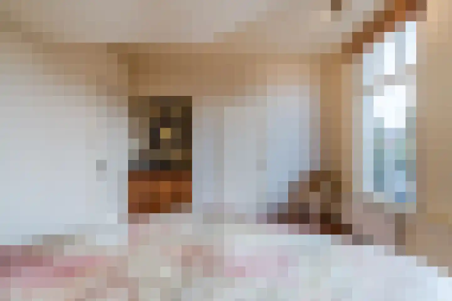 Burgemeester Colijnstraat 54 Boskoop thumbnail 33