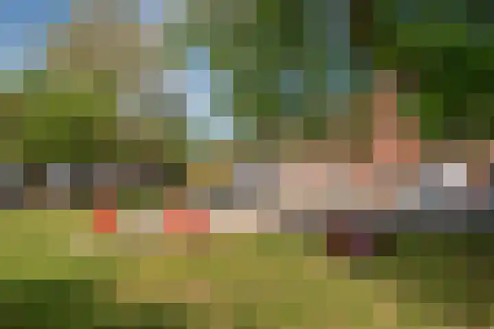 Burgemeester Conraetzstraat 7 Venlo thumbnail 56