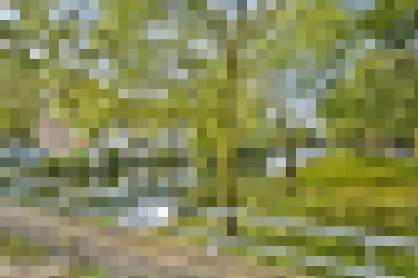 Burgemeester Cramergracht 47 Amsterdam thumbnail 16