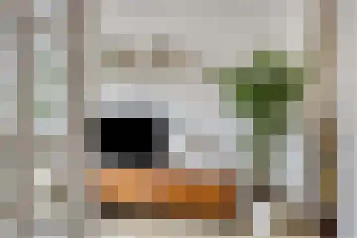 Burgemeester Cramerlaan 44 De Lier thumbnail 4