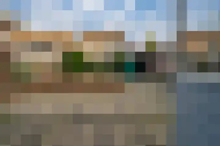 Burgemeester Cremersplein 11 Pannerden thumbnail 34