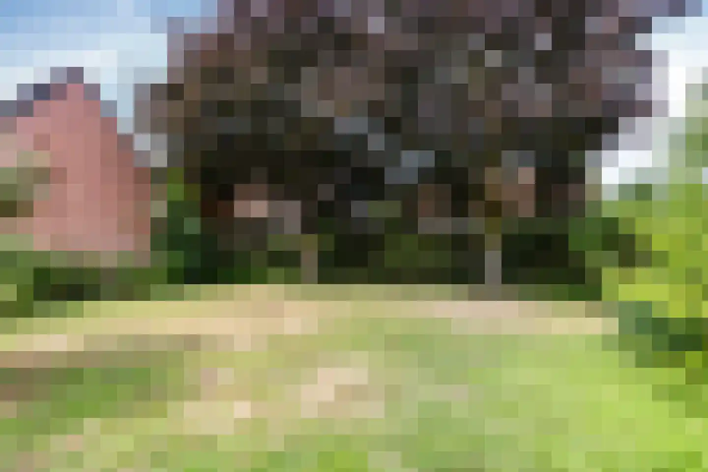Burgemeester Cremersplein 2 Pannerden thumbnail 19