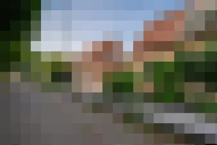 Burgemeester Cremersplein 6 Pannerden thumbnail 6