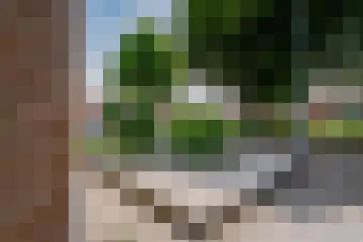 Burgemeester Cremersplein 6 Pannerden thumbnail 7