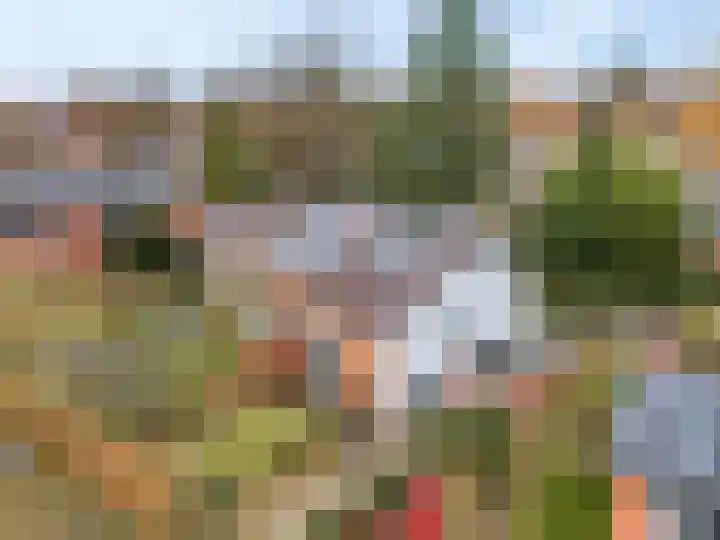 Burgemeester Creutzlaan 17 Ede thumbnail 47