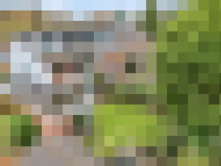 Burgemeester Creutzlaan 17 Ede thumbnail 48