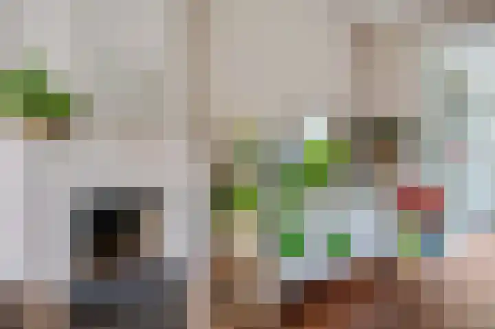 Burgemeester Creutzlaan 17 Ede thumbnail 8