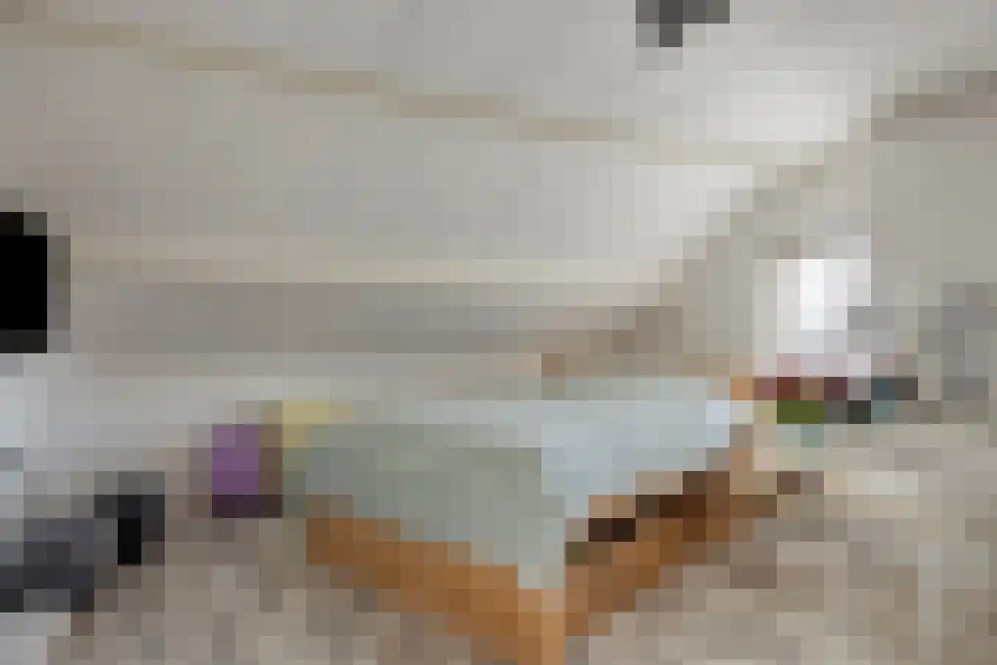 Burgemeester Crezéelaan 70 De Lier thumbnail 18