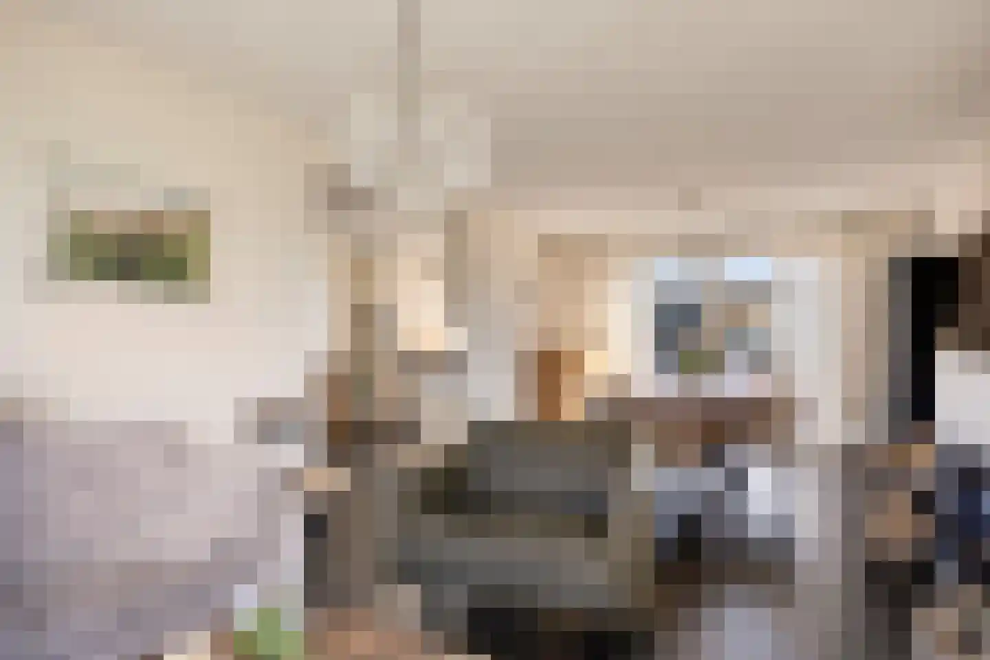 Burgemeester Crezéelaan 70 De Lier thumbnail 9