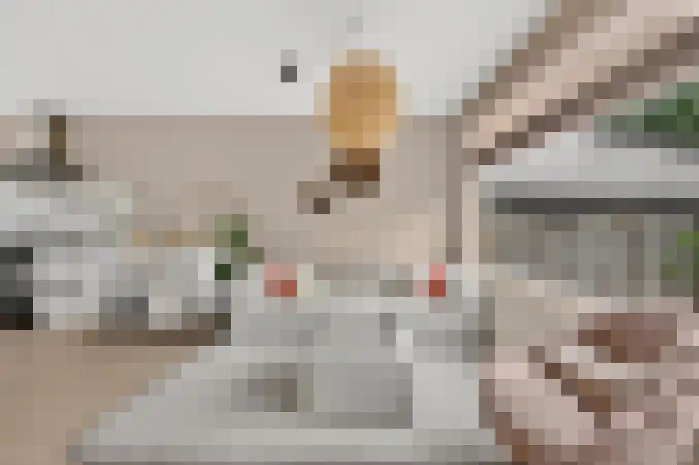 Burgemeester Crezéestraat 10 Ridderkerk thumbnail 5