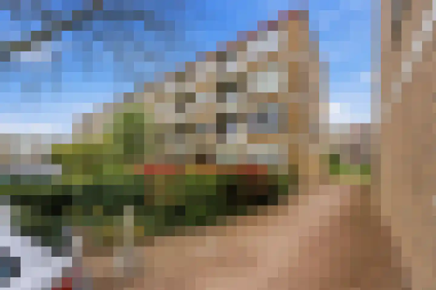Burgemeester Crezéestraat 41 Ridderkerk thumbnail 34