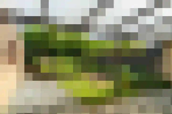 Burgemeester Custerslaan 36 Landgraaf thumbnail 23