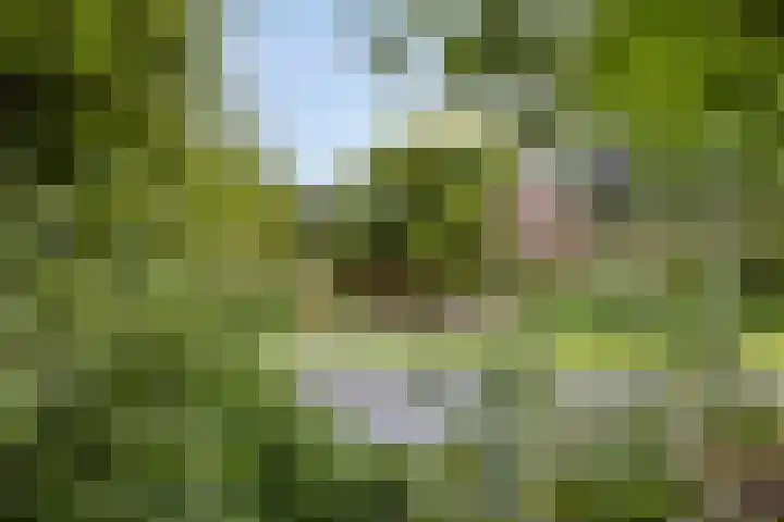 Burgemeester D. Kooimanweg 443 Purmerend thumbnail 33