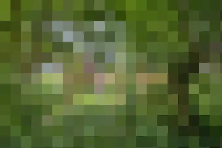 Burgemeester D. Kooimanweg 443 Purmerend thumbnail 34