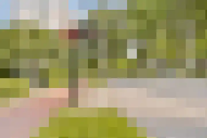 Burgemeester D. Kooimanweg 515 Purmerend thumbnail 19