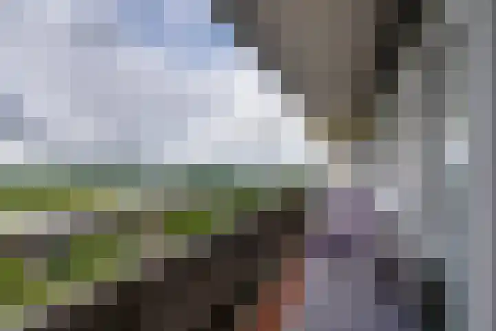 Burgemeester D. Kooimanweg 647 Purmerend thumbnail 27