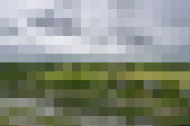 Burgemeester D. Kooimanweg 647 Purmerend thumbnail 35