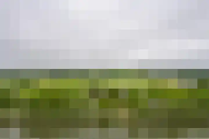 Burgemeester D. Kooimanweg 659 Purmerend thumbnail 24
