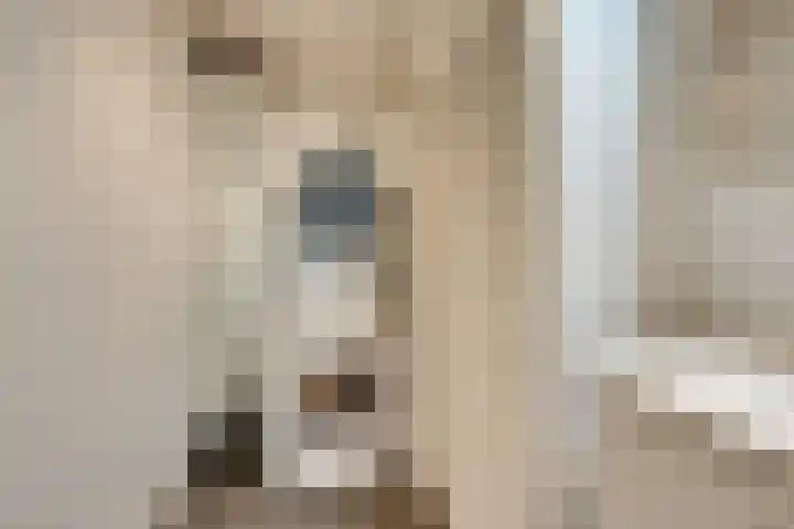Burgemeester D. Kooimanweg 659 Purmerend thumbnail 33