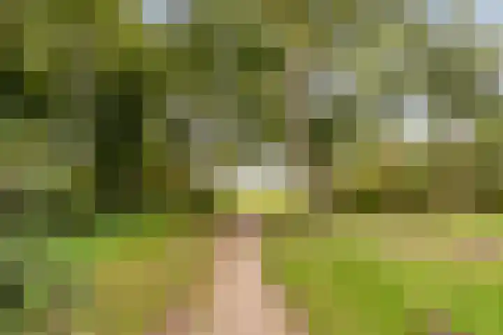 Burgemeester D. Kooimanweg 669 Purmerend thumbnail 32