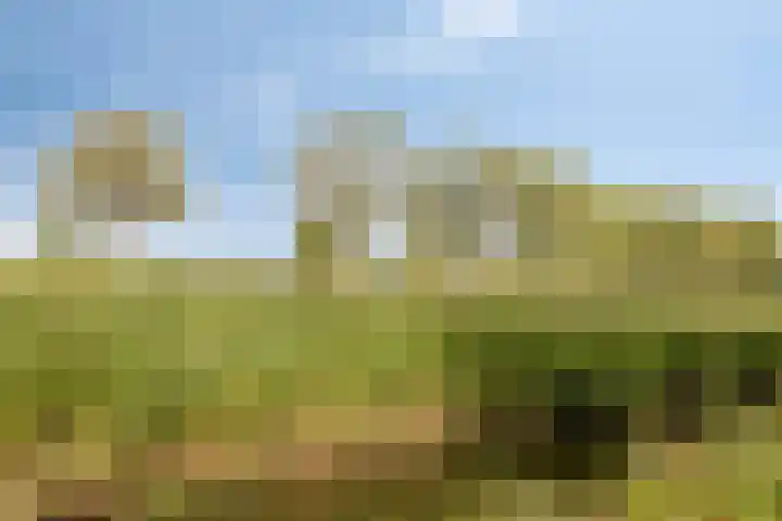 Burgemeester D. Kooimanweg 669 Purmerend thumbnail 33