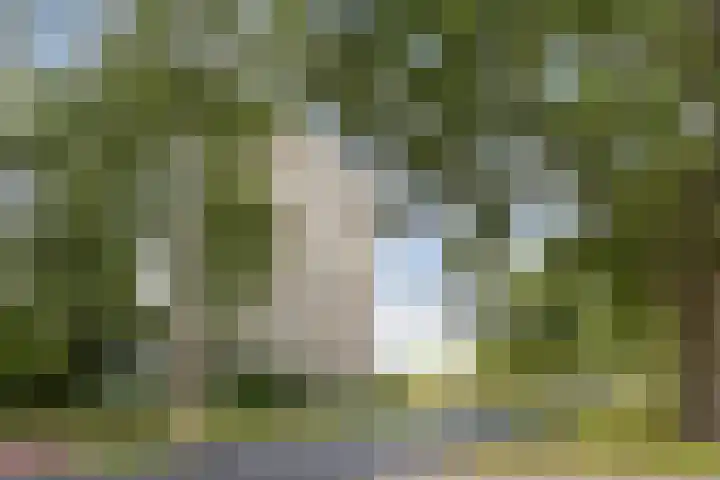 Burgemeester D. Kooimanweg 669 Purmerend thumbnail 7