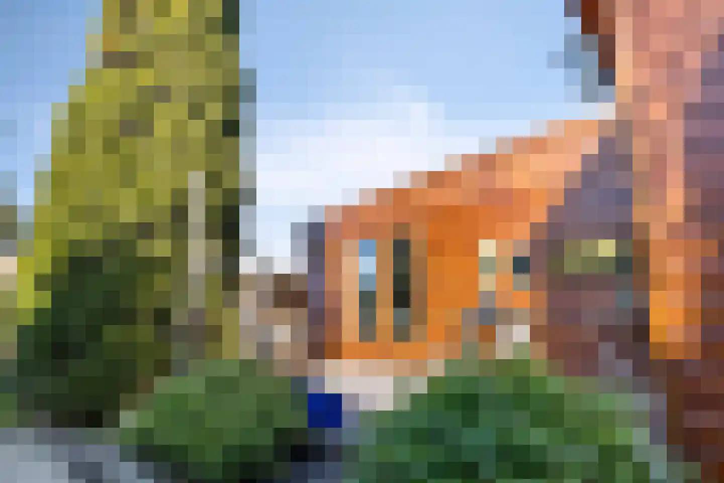 Burgemeester Dalenbergstraat 50 810 West-Graftdijk thumbnail 24