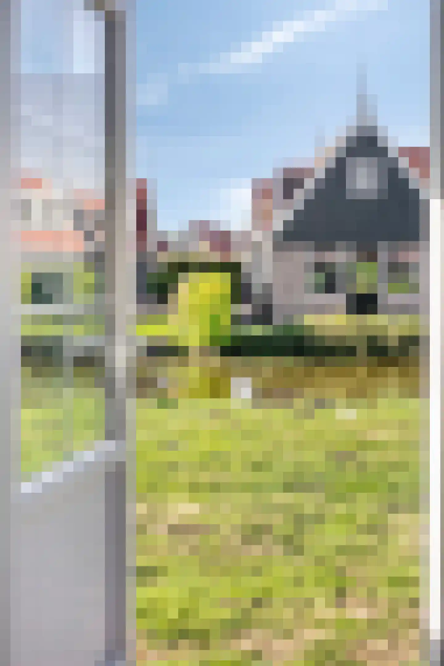 Burgemeester Dalenbergstraat 50 West-Graftdijk thumbnail 19