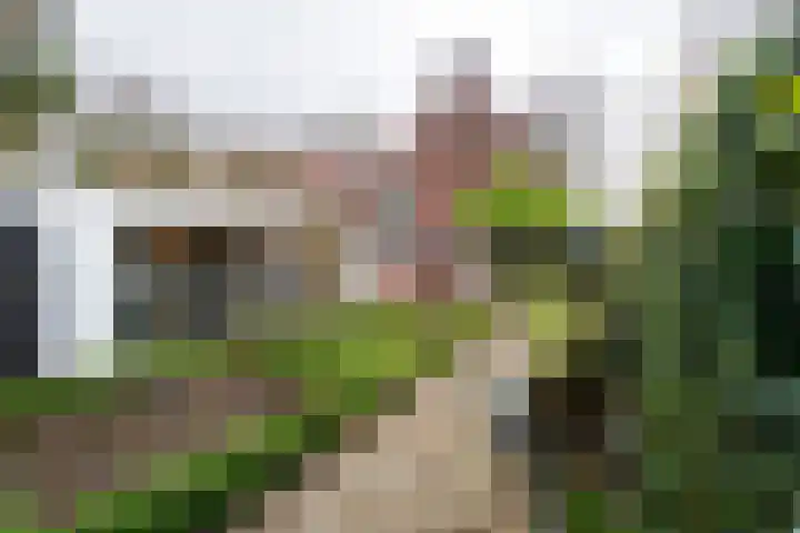 Burgemeester Damsstraat 41 Tilburg thumbnail 5