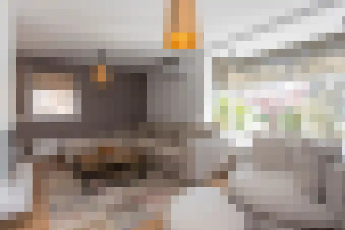 Burgemeester Damsstraat 55 Tilburg thumbnail 12