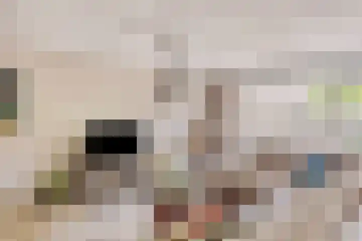 Burgemeester de Beaufortplein 20 Markelo thumbnail 17
