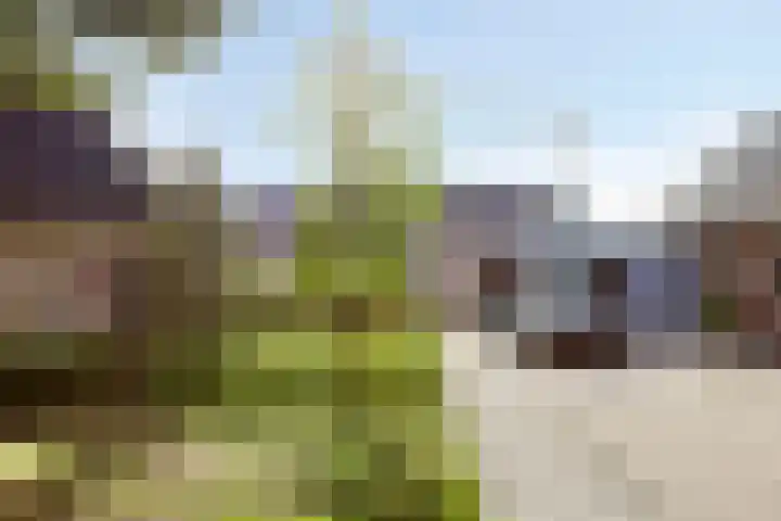 Burgemeester de Beaufortplein 20 Markelo thumbnail 36