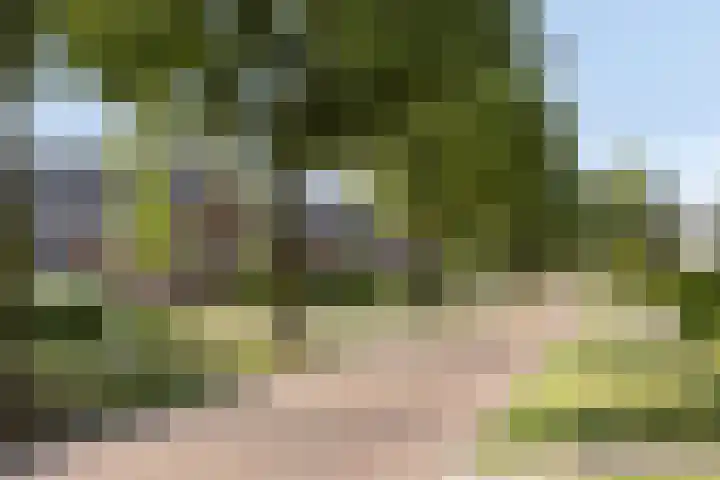 Burgemeester de Beaufortplein 20 Markelo thumbnail 37