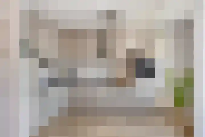 Burgemeester de Beaufortplein 20 Markelo thumbnail 8