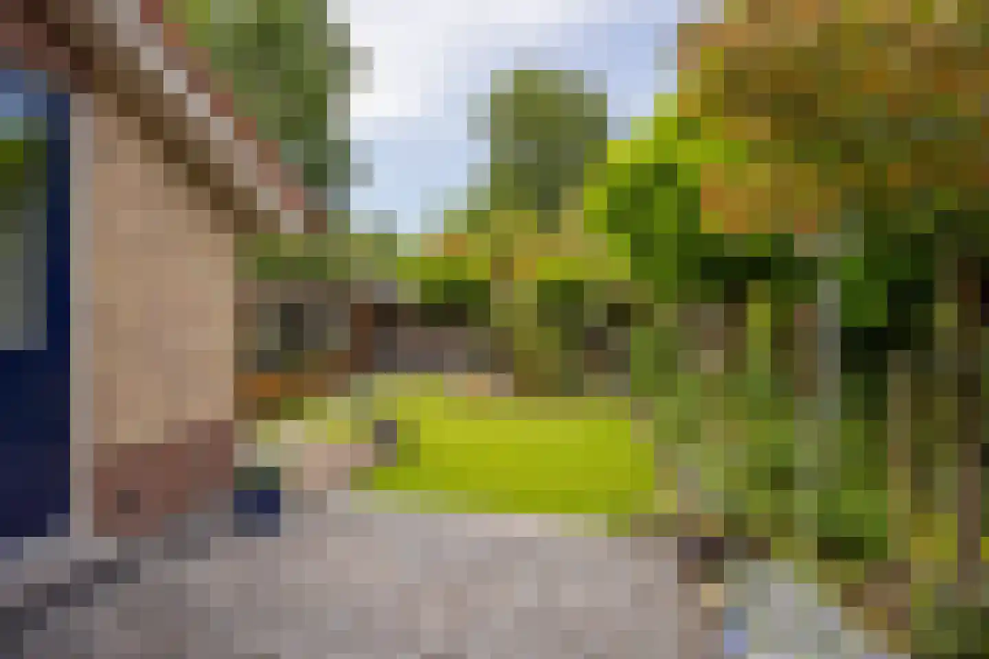 Burgemeester de Beaufortweg 51 Leusden thumbnail 15