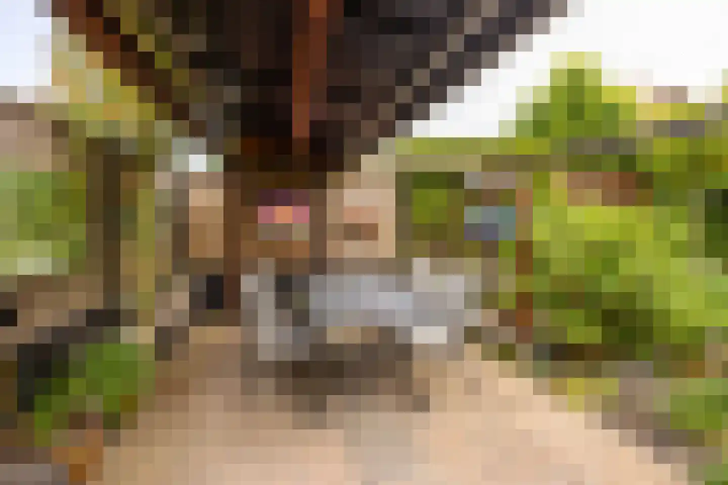 Burgemeester de Beaufortweg 51 Leusden thumbnail 19
