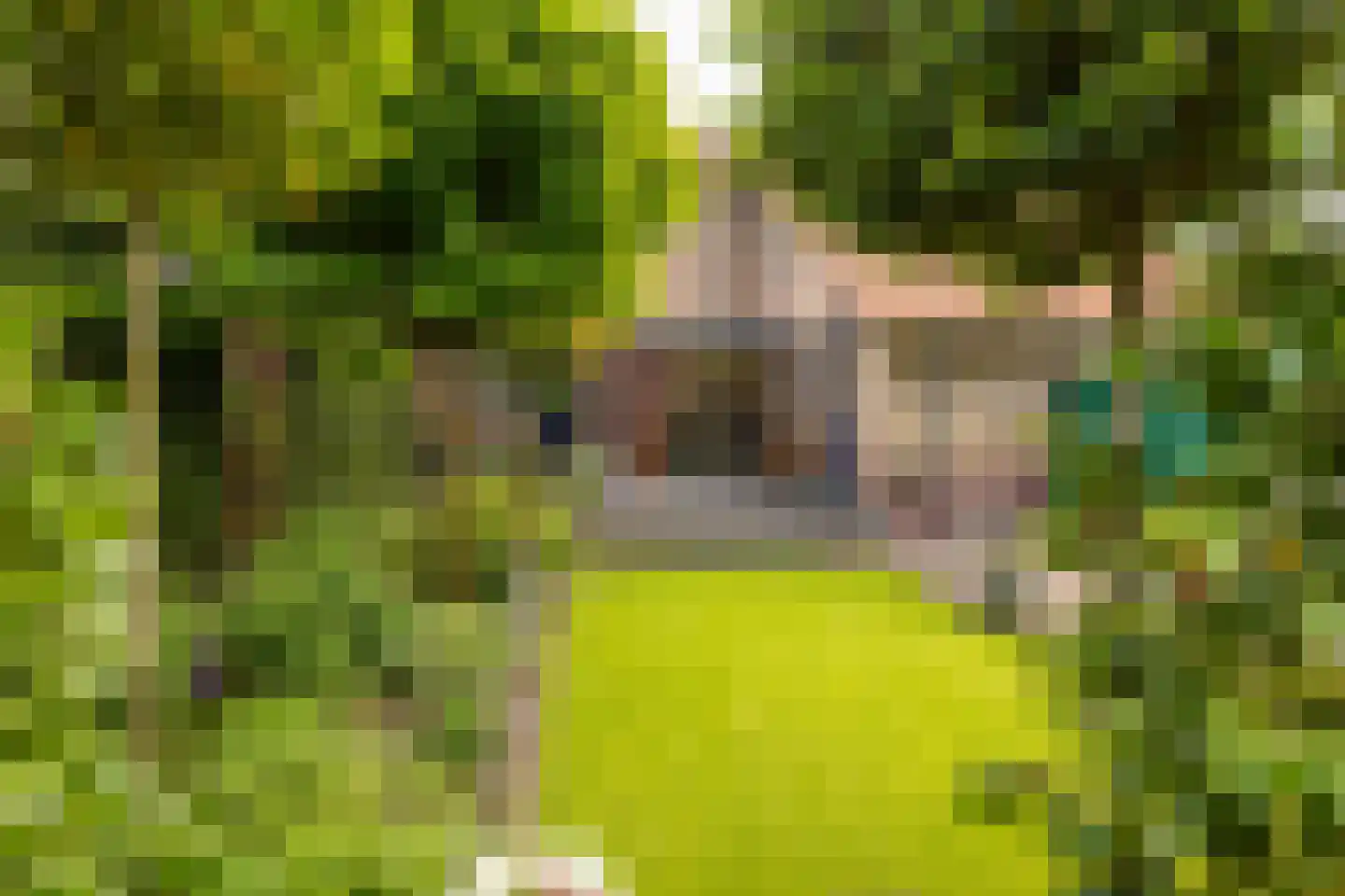Burgemeester de Beaufortweg 51 Leusden thumbnail 22