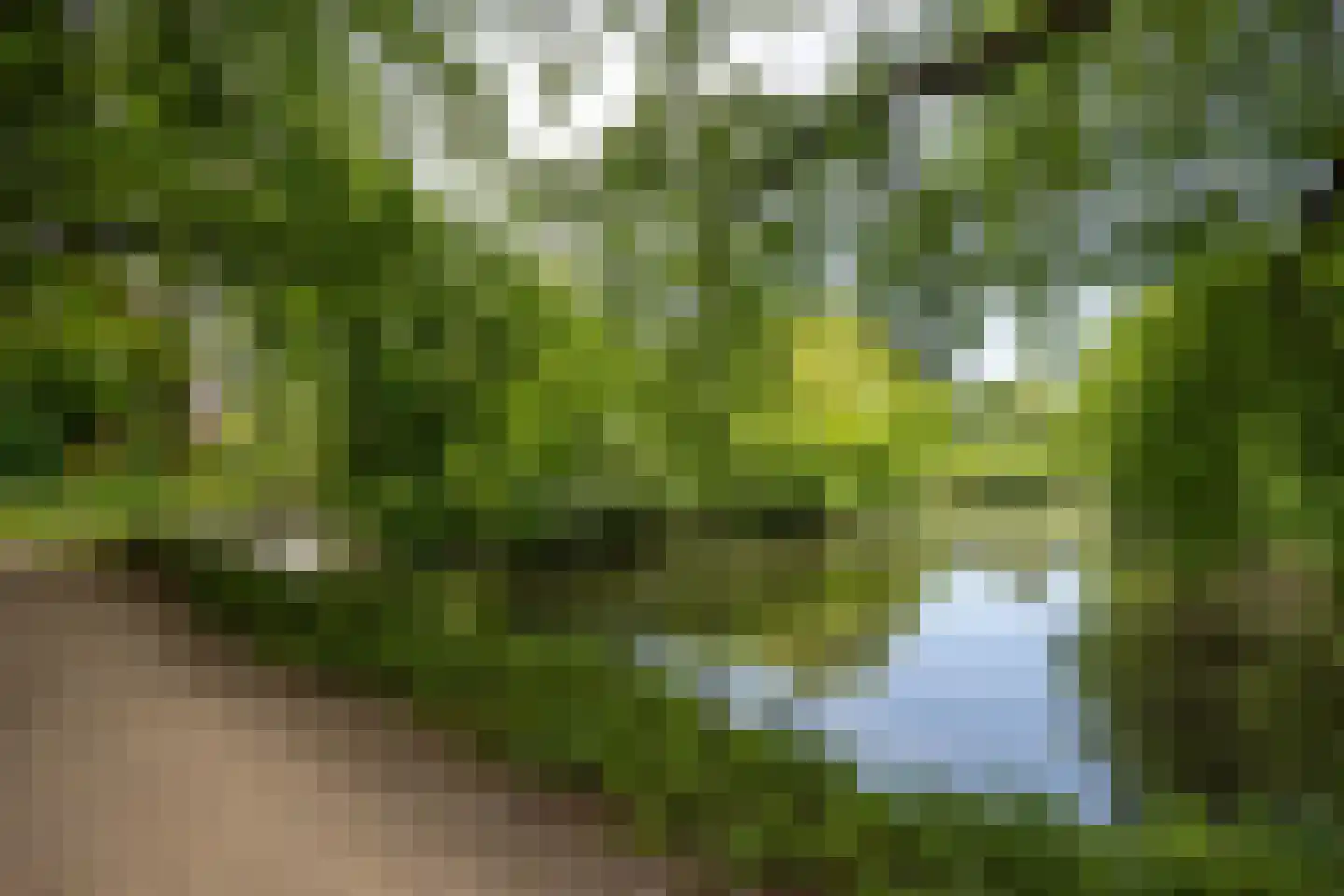 Burgemeester de Beaufortweg 51 Leusden thumbnail 38
