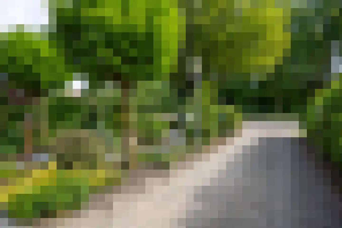Burgemeester de Beaufortweg 51 Leusden thumbnail 43