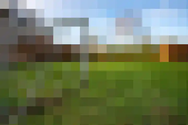 Burgemeester de Beaufortweg 57 Leusden thumbnail 33